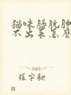 猫咪膀胱肿大尿不出来怎么办