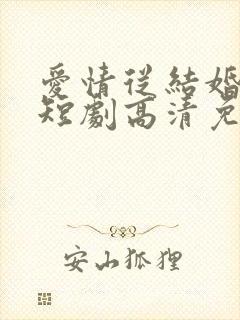 爱情从结婚开始短剧高清免费播放