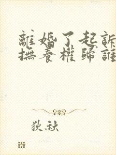 离婚了起诉孩子抚养权归谁