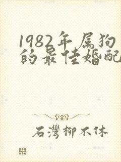 1982年属狗的最佳婚配