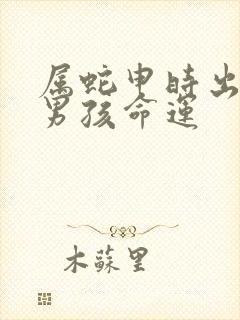 属蛇申时出生的男孩命运封面