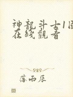 神龙斗士1国语在线观看