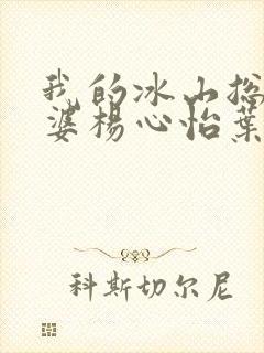 我的冰山总裁老婆杨心怡叶雄