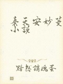 秦天安妙菱修仙小说