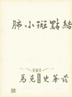 肺小斑点结节影