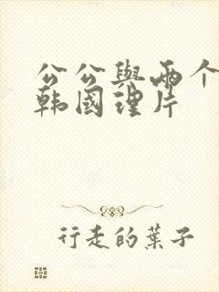 公公与两个儿媳韩国理片封面