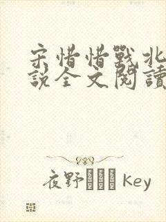 宋惜惜战北望小说全文阅读