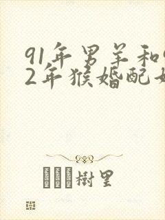 91年男羊和92年猴婚配好不好