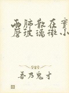 两肺散在实性及磨玻璃微小结节封面