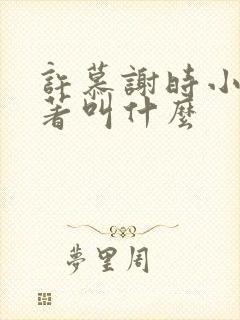 许慕谢时小说原著叫什么