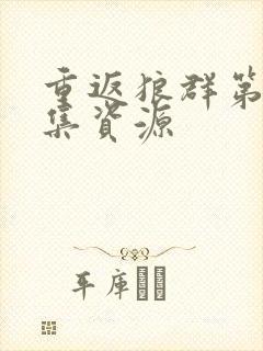 重返狼群第12集资源