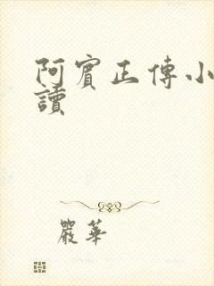 阿宾正传小说在读