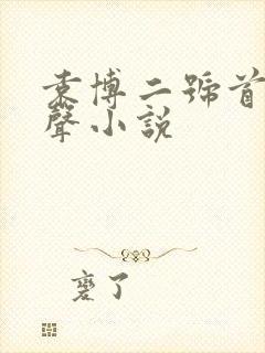 袁博二号首长有声小说