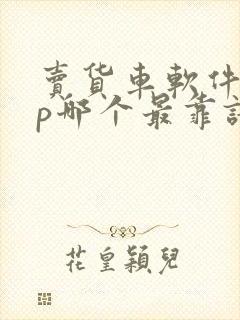 卖货车软件app哪个最靠谱