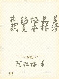 我的极品美女总裁夏睿林清雅全本小说下载