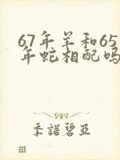 67年羊和65年蛇相配吗