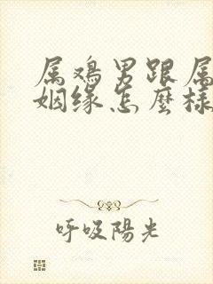 属鸡男跟属牛女姻缘怎么样