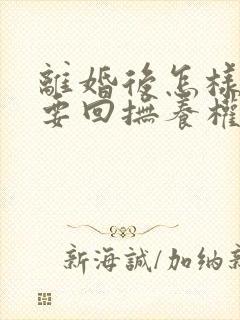 离婚后怎样才能要回抚养权封面