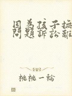 因为孩子抚养权问题诉讼离婚怎么弄封面