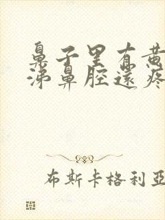 鼻子里有黄脓鼻涕鼻腔还疼封面