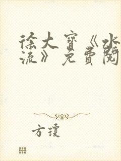 徐大宝《水浒风流》免费阅读