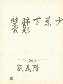 双肺下叶少许条索影