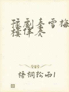 豫剧秦雪梅在绣楼伴奏