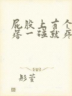 屁股上有个硬疙瘩一碰就疼