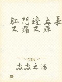 肛门边上长疙瘩又痛又痒