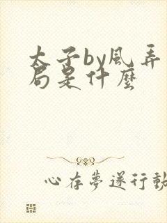 太子by风弄结局是什么