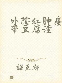 外阴红肿瘙痒白带豆腐渣封面