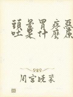 头晕胃疼恶心想吐是什么原因造成的