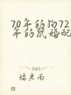 70年的狗72年的鼠婚配好不好