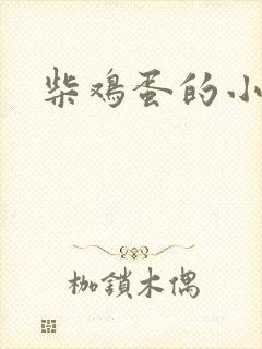 柴鸡蛋的小说封面