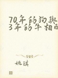 70年的狗与73年的牛相配吗