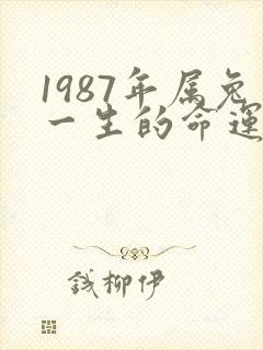 1987年属兔一生的命运怎么样