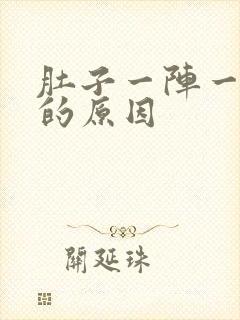 肚子一阵一阵痛的原因