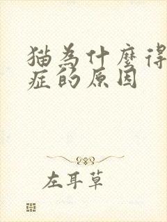 猫为什么得尿闭症的原因