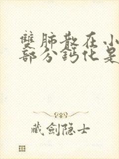 双肺散在小结节部分钙化是什么意思