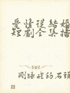 爱情从结婚开始短剧全集播放