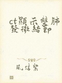 ct显示双肺多发微结节