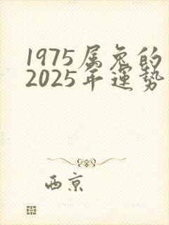 1975属兔的2025年运势和财运怎么样
