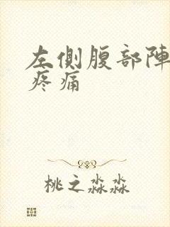 左侧腹部阵发性疼痛封面