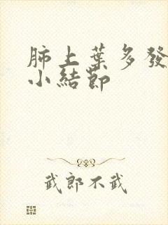 肺上叶多发实性小结节