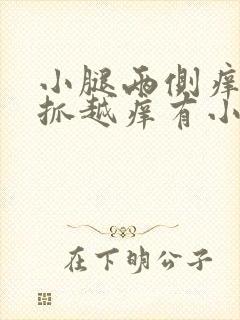 小腿两侧痒痒越抓越痒有小红疙瘩