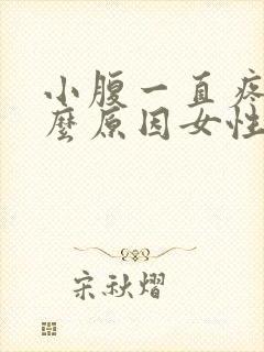 小腹一直疼痛什么原因女性