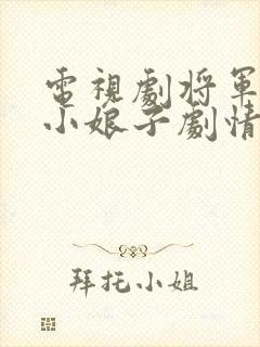 电视剧将军家的小娘子剧情介绍封面