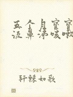 五个月宝宝有点流鼻涕咳嗽怎么办