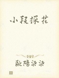 小段探花封面