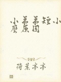 小弟弟短小是什么原因封面